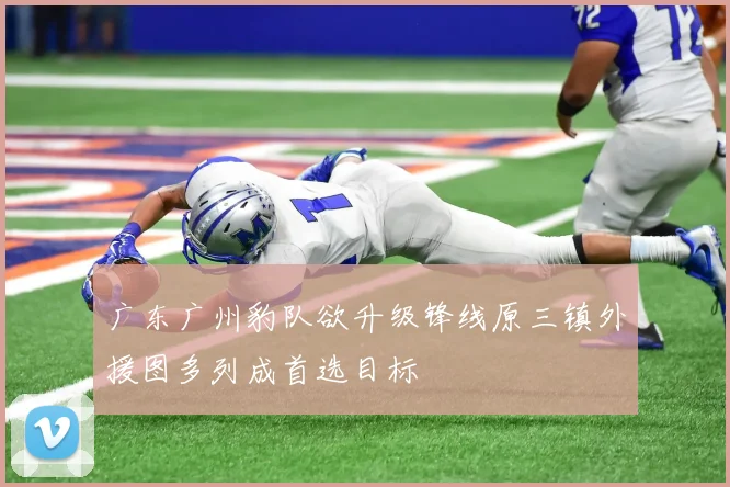 广东广州豹队欲升级锋线原三镇外援图多列成首选目标
