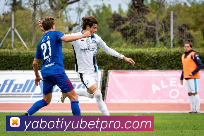 App Interface Preview